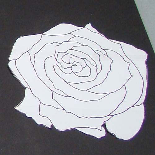 roos-ontwerp-3.jpg -60kb